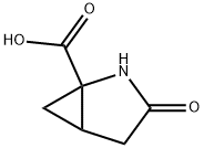 2,3-methanopyroglutamic acid