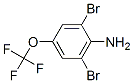 3,5-Dibromo-4-aminotrifluoromethoxybenzene