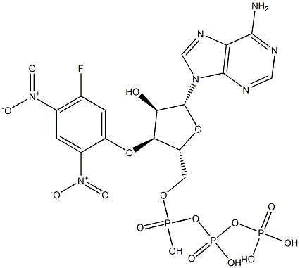 3'-O-(5-fluoro-2,4-dinitrophenyl)ATP ether