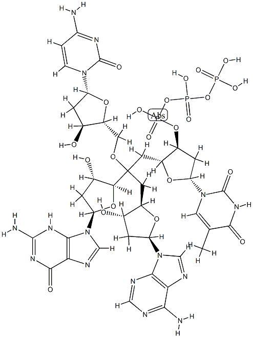deoxy(thymidylic-adenylic-cytidylic-guanosine)