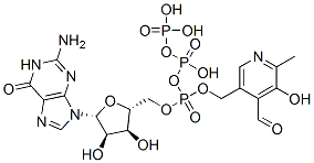 guanosine triphosphopyridoxal