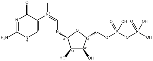 7-甲基鸟苷二磷酸游离酸/钠盐/TEA盐