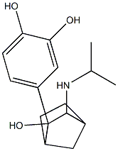 N-isopropyl-3-amino-2-(3,4-dihydroxyphenyl)-2-hydroxybicyclo(2.2.1)heptane