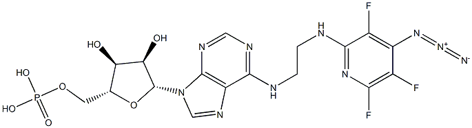 N(6)-(N((4-azido-3,5,6-trifluoro)pyridin-2-yl)-2-aminoethyl)adenosine 5'-monophosphate