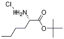 Norleucine tert-butyl ester hydrochloride