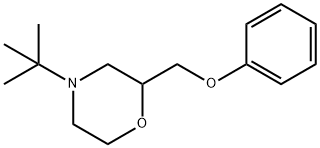 4-TERT-BUTYL-2-(PHENOXYMETHYL)-MORPHOLINE