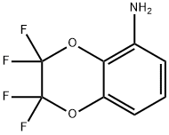 5-氨基-2,2,3,3-四氟-1,4-苯并二氧杂环乙烷