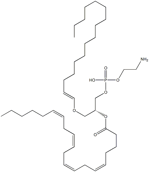 1-palmitoyl-2-arachidonoyl plasmalogen phosphatidylethanolamine