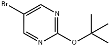 5-溴-2-(叔丁氧基)吡啶