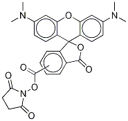 tetramethylrhodamine succinimidyl ester
