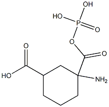 gamma-cycloglutamyl phosphate