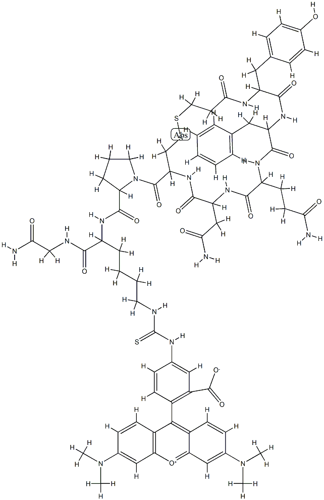 vasopressin, 1-deamino-(8-lysine(N(6)-tetramethylrhodamylaminothiocarbonyl))-