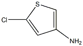 5-氯-3-氨基噻吩 盐酸盐