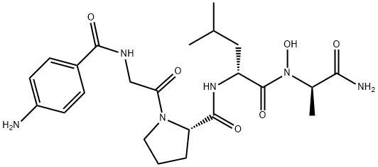 4-氨基苯甲酰基-甘氨酰-脯氨酰-D-亮氨酰-D-丙氨酰异羟肟酸