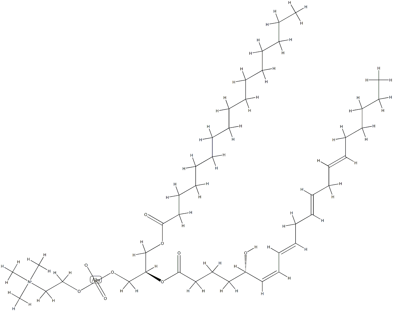 1-palmitoyl-2-(5-hydroxy-6,8,11,14-eicosatetraenoyl)-glycero-3-phosphocholine