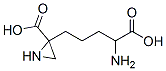 2-(4-amino-4-carboxybutyl)-2-aziridinecarboxylic acid