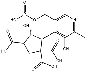 4-carboxy-5-(pyridyloxy-5'-phosphate)proline