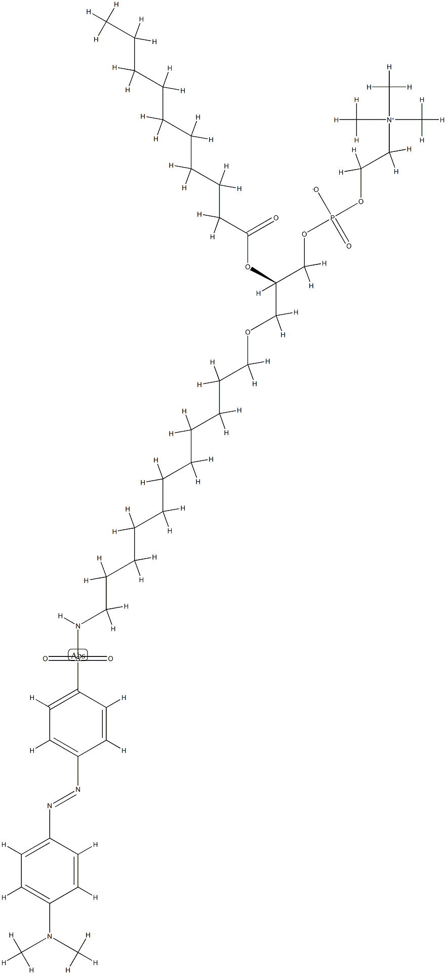 1-O-(N-dabsyl-11-amino-1-undecyl)-2-O-decanoylphosphatidylcholine