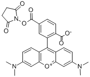 6-CARBOXYTETRAMETHYLRHODAMINE N-HYDROXYSUCCINIMIDE ESTER