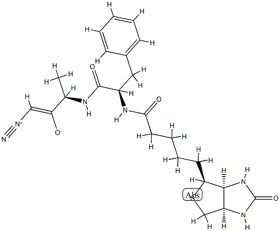 biotin-phenylalanyl-alanine diazomethyl ketone