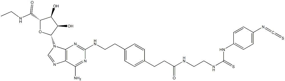 4-isothiocyanatophenylaminothiocarbonyl-2-((2-aminoethylaminocarbonylethyl)phenylethylamino)-5'-N-ethylcarboxamidoadenosine