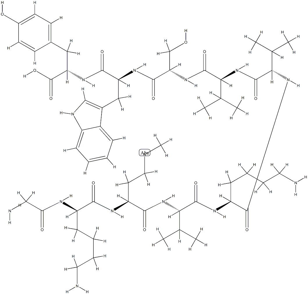 glyceraldehyde 3-phosphate dehydrogenase (304-313)