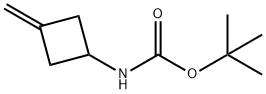 氨基甲酸(3 - 亚甲基环丁基) -,1,1 - 二甲基乙基酯