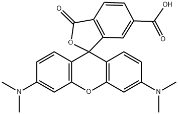 3',6'-双(二甲基氨基)-3-氧代螺[异苯并呋喃-1(3H),9'-[9H]吨]-6-羧酸