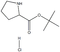 吡咯烷-2-甲酸叔丁酯盐酸盐