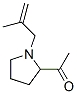 Ethanone, 1-[1-(2-methyl-2-propenyl)-2-pyrrolidinyl]- (9CI)