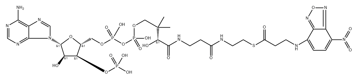 beta-(N-(7-nitro-2,1,3-benzoxadiazol-4-yl))alanyl-coenzyme A