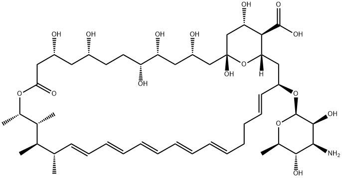 两性霉素 B