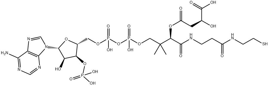 4-[2-[3-[4-[[[5-(6-aminopurin-9-yl)-4-hydroxy-3-phosphonooxy-oxolan-2-yl]methoxy-hydroxy-phosphoryl]oxy-hydroxy-phosphoryl]oxy-2-hydroxy-3,3-dimethyl-butanoyl]aminopropanoylamino]ethylsulfanyl]-2-hydroxy-4-oxo-butanoic acid