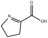 3,4-dihydro-2H-pyrrole-5-carboxylic acid