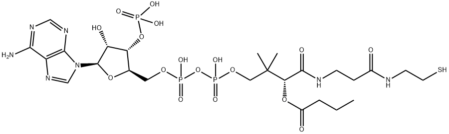 [5-(6-aminopurin-9-yl)-2-[[[[3-[2-(2-butanoylsulfanylethylcarbamoyl)ethylcarbamoyl]-3-hydroxy-2,2-dimethyl-propoxy]-hydroxy-phosphoryl]oxy-hydroxy-phosphoryl]oxymethyl]-4-hydroxy-oxolan-3-yl]oxyphosphonic acid