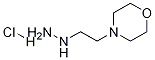 1-(2-Morpholinoethyl)hydrazine hydrochloride