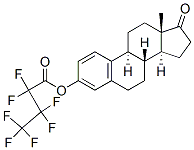 Estrone heptafluorobutyrate