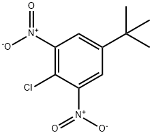 2-氯-5-叔丁基-1,3-二硝基苯