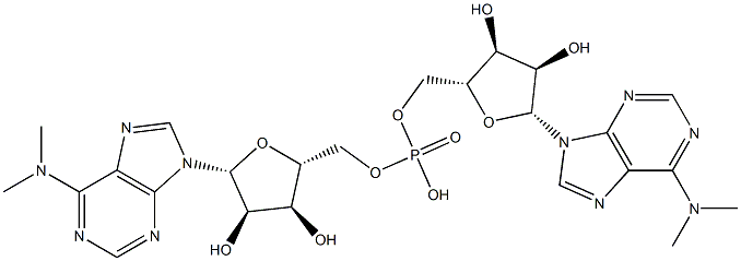 N(6),N(6)-dimethyladenylyl(3'-5')N(6),N(6)-dimethyladenosine