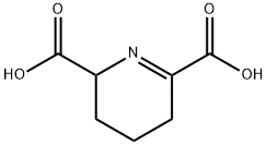 2,3,4,5-tetrahydro-2,6-pyridinedicarboxylic acid