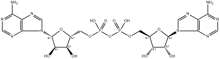 adenosine monophosphate-adenosine