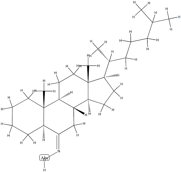 5α-Cholestan-6-one oxime