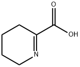 3,4,5,6-tetrahydropyridine-2-carboxylic acid