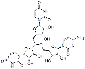 5'-r(uridylyl-uridylyl cytidine)