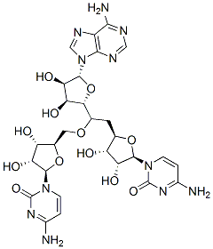cytidylyl-cytidylyl-adenosine