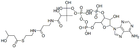 [5-(6-aminopurin-9-yl)-4-hydroxy-2-[[hydroxy-[hydroxy-[3-hydroxy-3-[2-[2-(3-hydroxybutanoylsulfanyl)ethylcarbamoyl]ethylcarbamoyl]-2,2-dimethyl-propoxy]-phosphoryl]oxy-phosphoryl]oxymethyl]oxolan-3-yl]oxyphosphonic acid