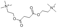 SUCCINYLCHOLINE