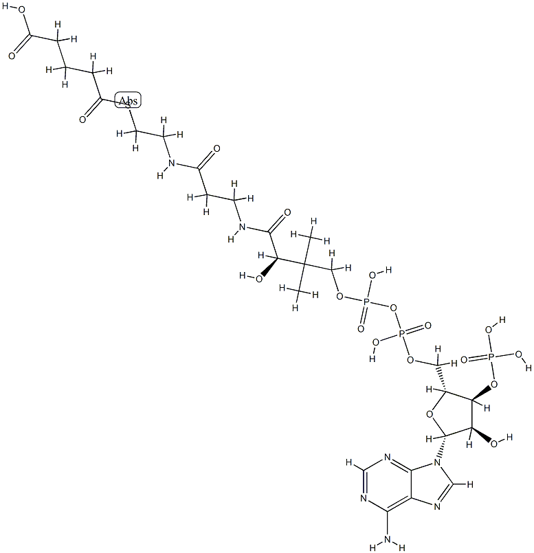 glutaryl-coenzyme A