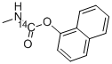 CARBARYL-NAPHTHALENE-1-14C