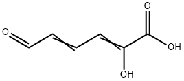 hydroxymuconic semialdehyde